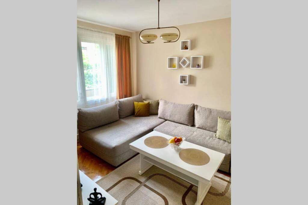 Cute, Spacious Apt In The Heart Of The Old Town Podgorica Extérieur photo