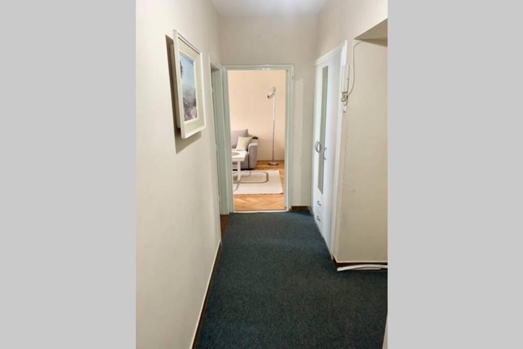 Cute, Spacious Apt In The Heart Of The Old Town Podgorica Extérieur photo