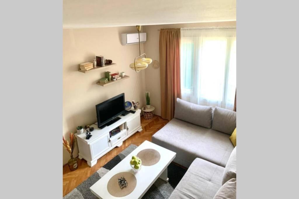 Cute, Spacious Apt In The Heart Of The Old Town Podgorica Extérieur photo