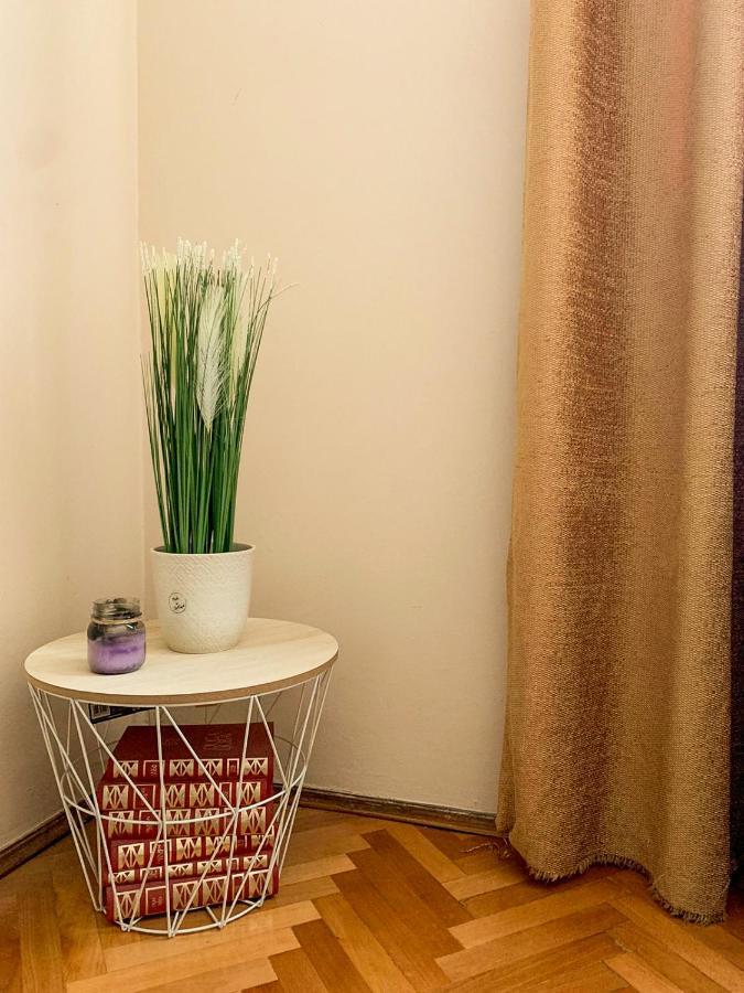 Cute, Spacious Apt In The Heart Of The Old Town Podgorica Extérieur photo